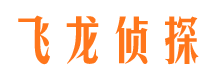 新龙市侦探公司